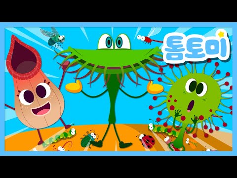 식충식물송 벌레잡이 식물 식물 동요 톰토미 TOMTOMI