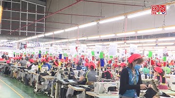 Triển khai nhiều giải pháp cắt giảm thủ tục hành chính, cải thiện môi trường kinh doanh