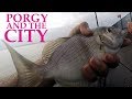 FAST & FUN NYC FISHING - PORGY IN THE CITY - NEW YORK CITY PORGIES - URBAN FISHING!!! FAST & FUN NYC FISHING - PORGY IN THE CITY - NEW YORK CITY PORGIES - URBAN FISHING!!!