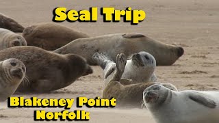 Seal Trip Blakeney Point Norfolk