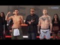 Rousey vs. Carano full card final faceoffs: Diaz vs. Perry, Ngannou + Cain Velasquez surprise