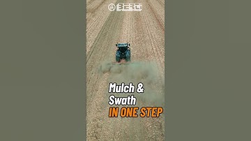 MULCH & SWATH IN ONE STEP | BERTI LAND/P BIOG #shorts  #landclearing #mulcher #berti #bertimulcher