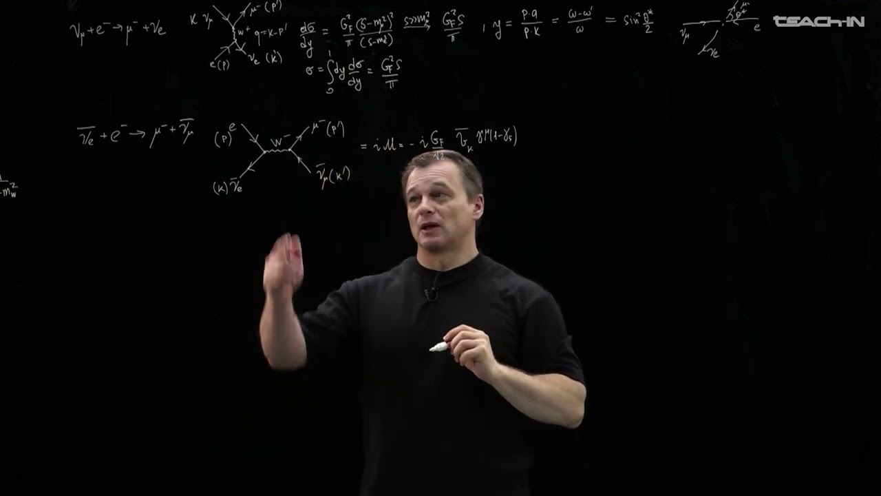 Наумов Д.В. - Стандартная модель - 20. Рассеяние лептонов на элементарных заряженных частицах