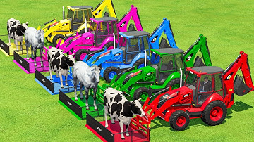 COWS & HORSES TRANSPORTATION & JCB OF COLORS IN FS22 | FARMING SIMULATOR 22 |