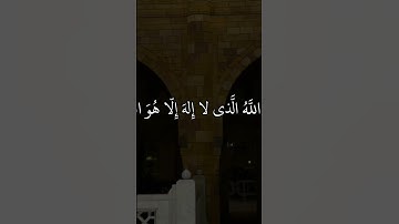 قران كريم الا بذكر الله تطمئن القلوب #قران_كريم #المصحف #الرحمن