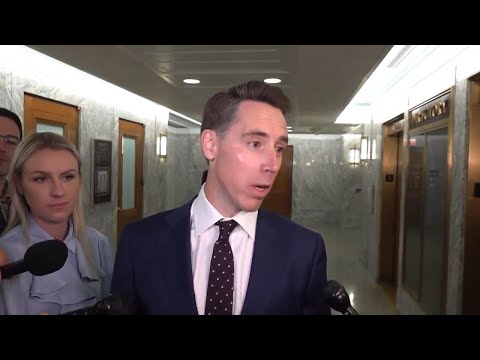 Senators discuss leader McConnell health episodes