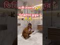 একি দেখলাম😱 🤣#shortsবাংলাভাইরালভিডিও #comedy