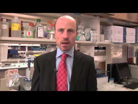 Video: Perbezaan Antara MDS Dan Leukemia