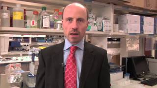 What is Myelodysplastic Syndrome (MDS)?  Mayo Clinic