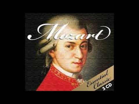 Vivaldi - Concerto for Two Violins in A Minor RV522