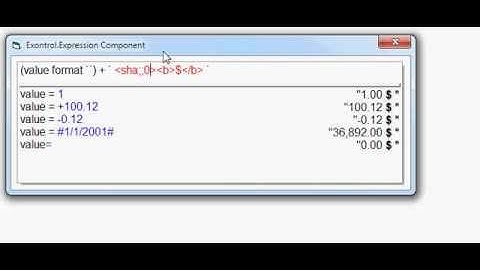 Exontrol Expression - First Look