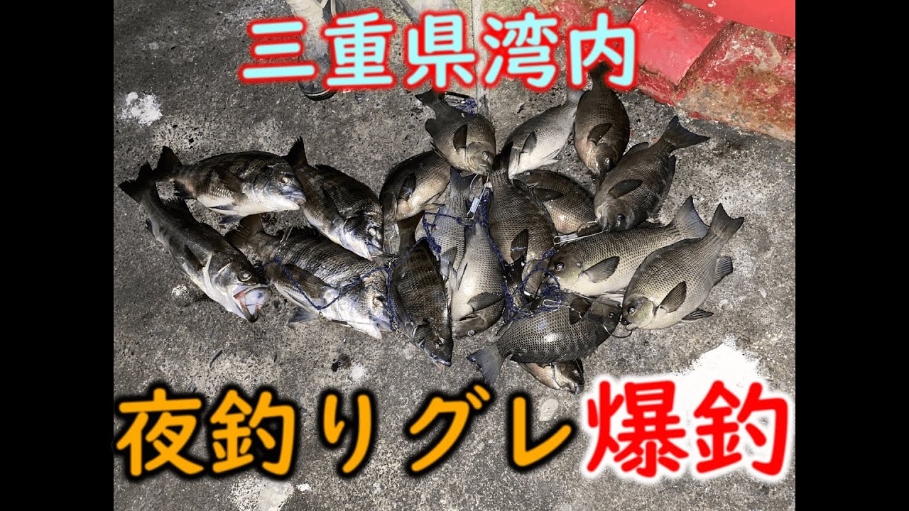 三重県湾内での夜釣りグレに行って来ました 師匠と釣りまくって楽しい一日を過ごす事が出来ました Youtube