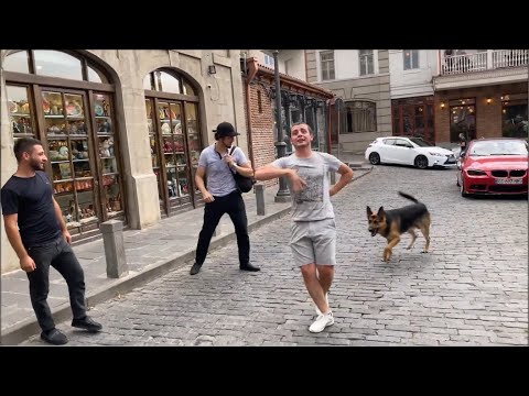 Парень Танцует Очень Красиво На Улице Шардени Гогия ALISHKA Хит Кавказа Gogia 2021 Лезгинка Тбилиси