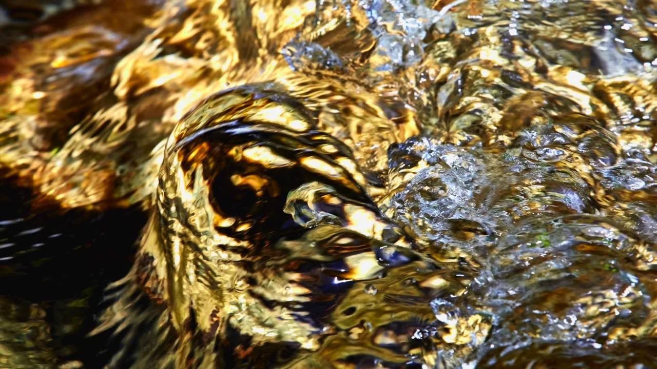 Les Esprits de l'eau © Dominique Heymès