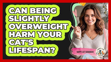 Can Being Slightly Overweight Harm Your Cat