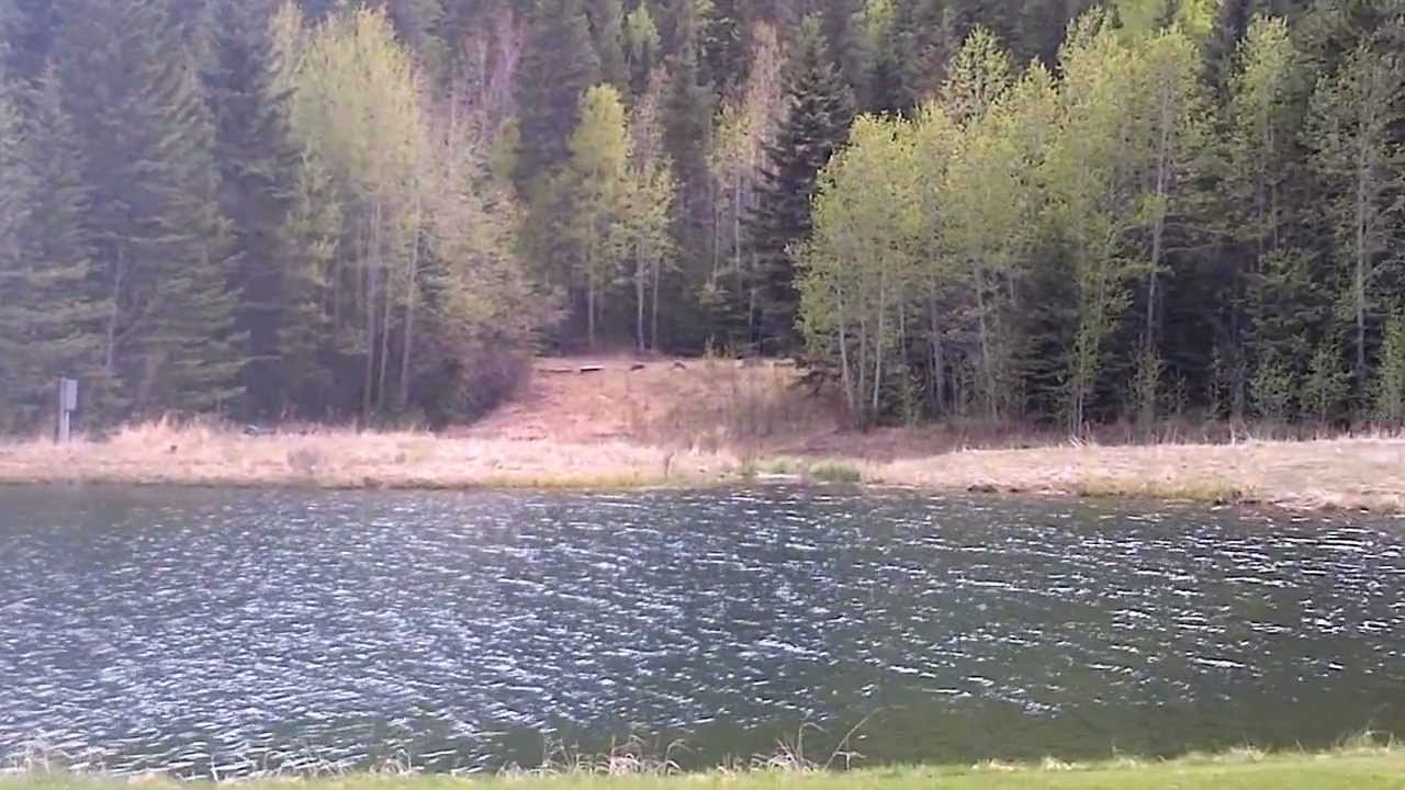Stewart Creek Gollf Club, Canmore Alberta