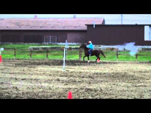 Stagecoach Outriders Clinic and Demonstration May ...