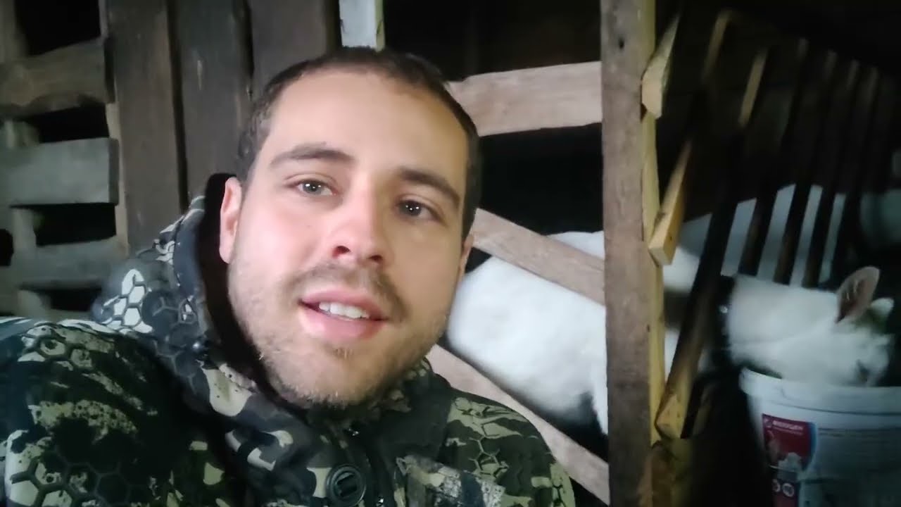 Was sind unsere Pläne? Entspanntes reden bei den Ziegen.