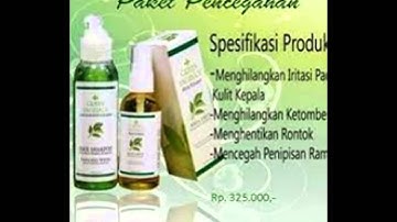 083 830 652 224, obat botak green angelica herbal alami