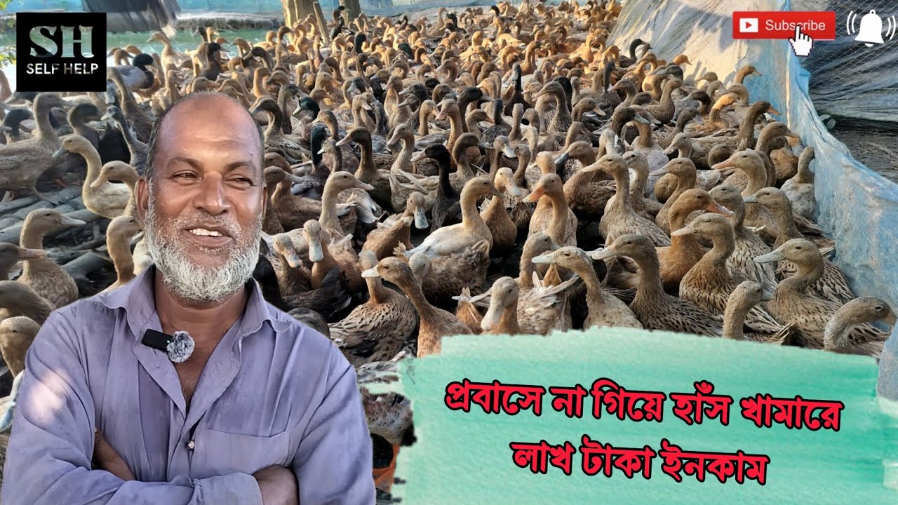 Part: 4 || প্রবাসে না গিয়ে হাঁস খামারে লাখ টাকা ইনকাম। || Duck farming || SelfHelp