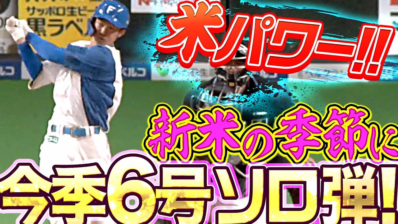 新米の季節】石井一成『打球もグングン伸びた！今季6号ソロ弾』 - YouTube