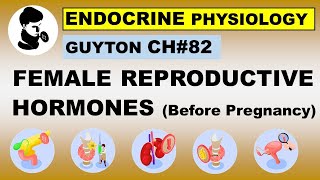 Ch#82 Physiology Guyton | Female Reproductive Hormones Before Pregnancy | Reproductive Physiology