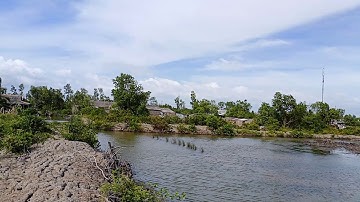 Vuông tôm ở cà mau rộng lớn và xinh đẹp mọi người ơi