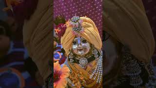 Prabhu#premanandjimaharaj #premanandjipravachan #krishna #laddugopalstatus #viral #laddu #radheshyam