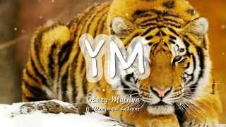 Marilyn | GEazy ft. Dominique Lejeun