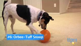 10 Best Dog Toys Holiday 2014