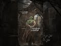 علي الياقوت والدر علي المكنون في السر علي بلا سيفه يسطر حيدر حيدر 