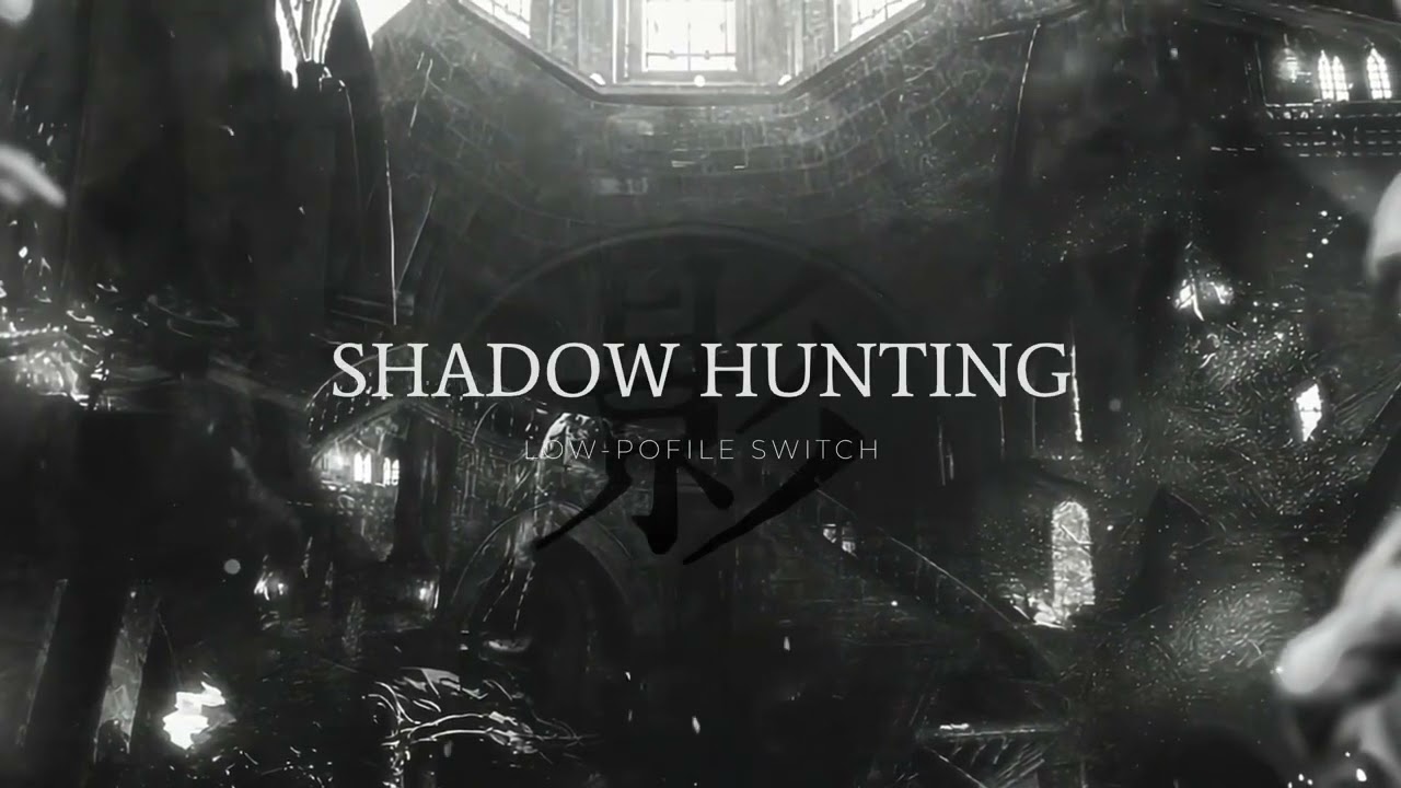 Haute42 Kailh Low Profile Shadow Hunting Switch For Hitbox Controller