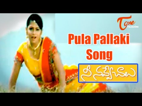 Nee Navve Chalu - Pula Pallaki Song