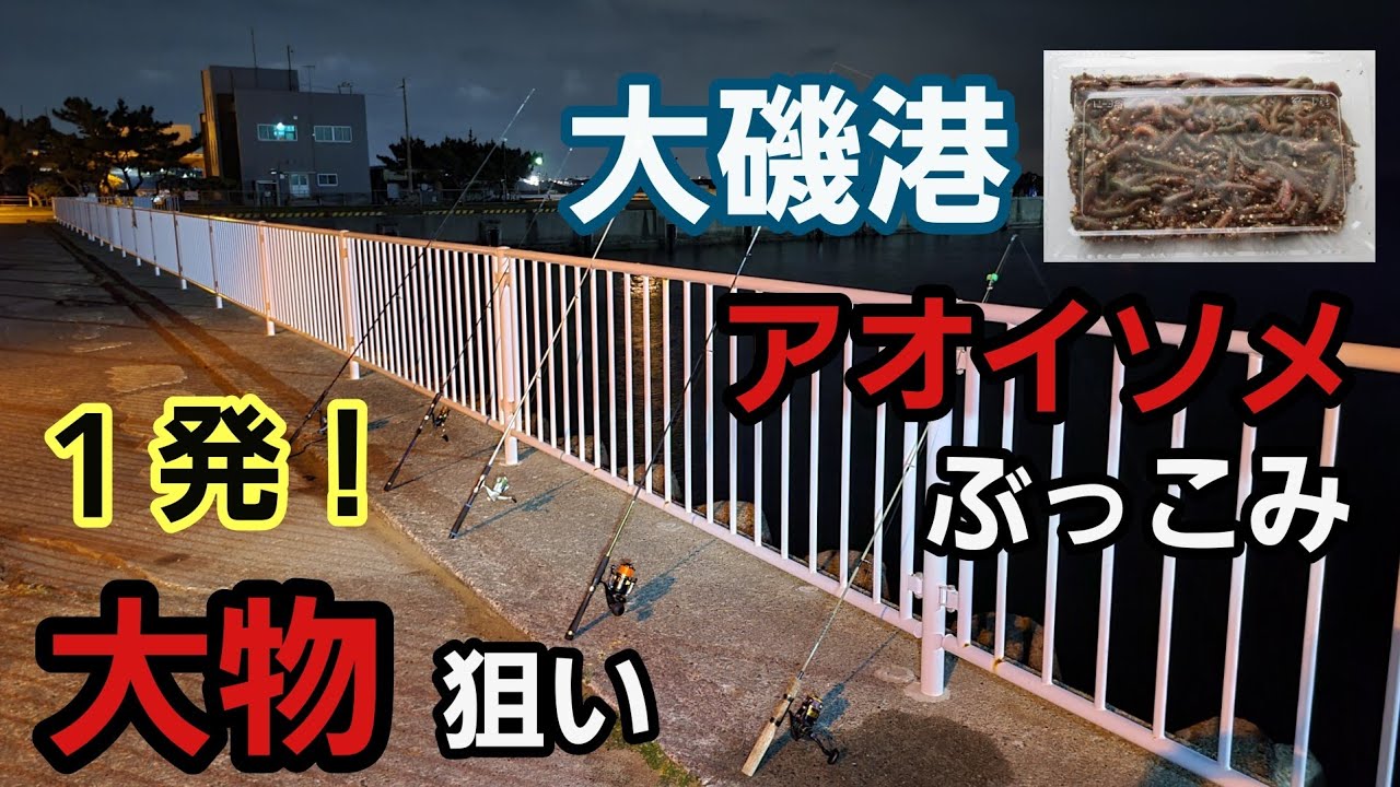 【大磯港】竿5本出し強行作戦！1発大物狙い！ アオイソメ ぶっこみ夜釣り   2023年5月上旬  若潮