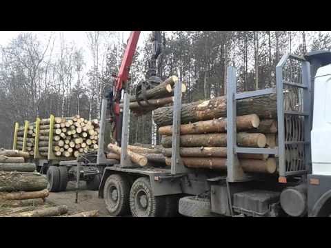 Маз 630308 лесовоз