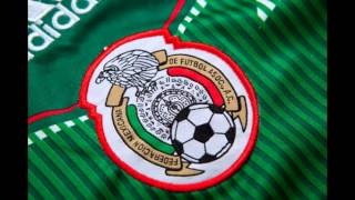 maillot de mexique coupe du monde 2014 domicile-maillotfoots-pascher.com