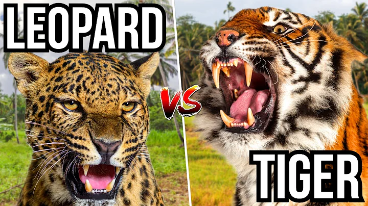 7 Cats That Hunt And Take Out Other Cats - Cat Eat Cat World thumbnail