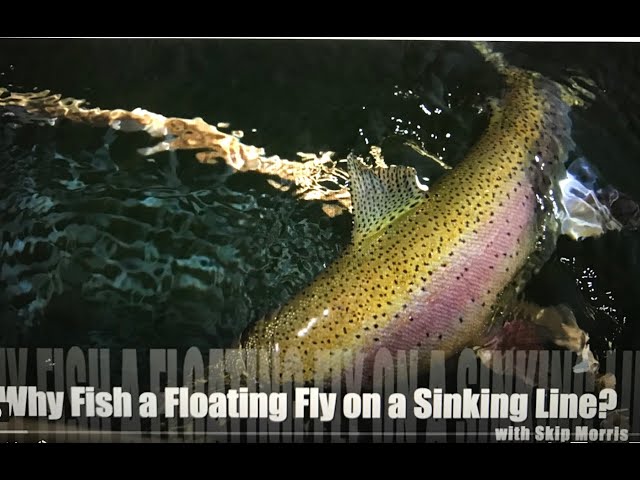 Why Fish a Floating Fly on a Sinking Line? with Skip Morris 