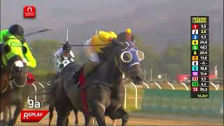 Vidéo de la course PMU PREMIO VAMOS A LA HIPICA