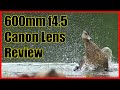 Lens Review - Canon 600mm f4.5 FD lens