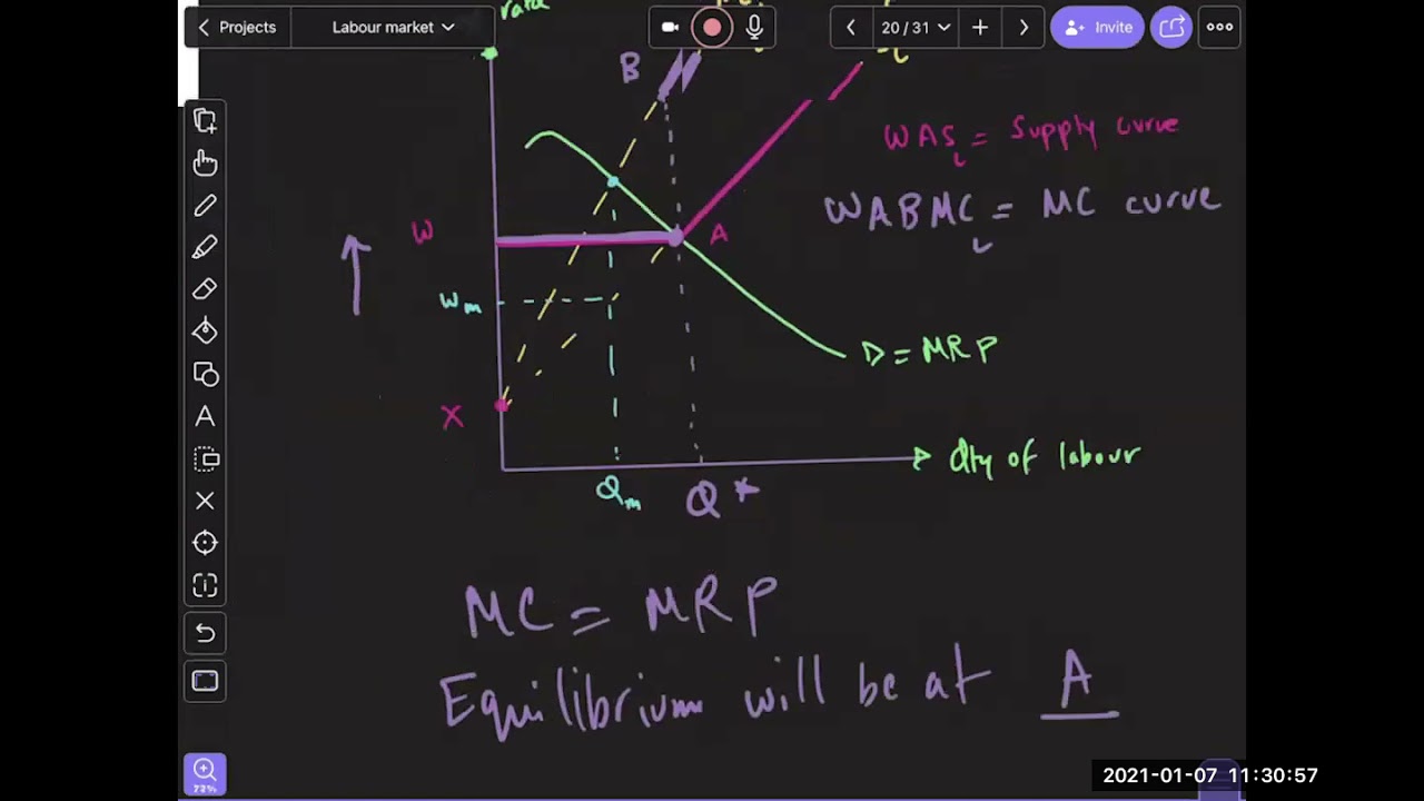 Labor Market 06 (Wage Determination Monopsony)