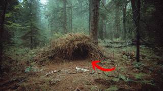 VIRAL Trail Cam Footage Captures Something NO ONE Can Explain