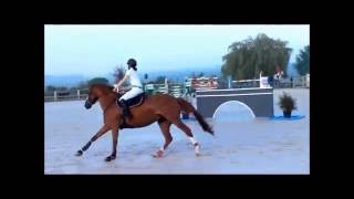 MAGNANVILLE PREPA-CSO 110 SF 27 MAI 2016 AVI