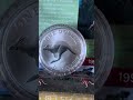 AUSTRALIA $ 1 SILVER BULLION COIN