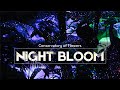 Conservatory of flowers night bloom  san francisco  cinematic travel  panasonic gh5