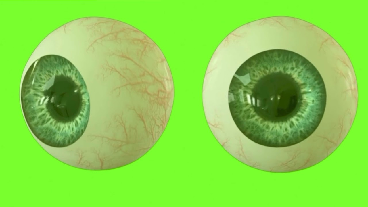 Animated Eyeballs  HD Green screen chroma key video effect