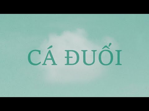 Video: Cá đuối