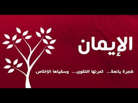 الايمان بالله لفضيلة الشيخ محمد سيد حاج رحمة الله 