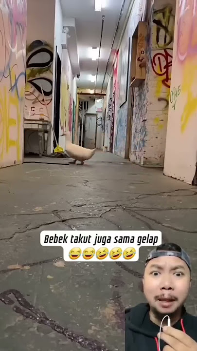 BEBEK TAKUT MATI LAMPU NGAKAK #shorts