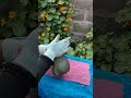 #cemento #diy #flowerpot #botellas
